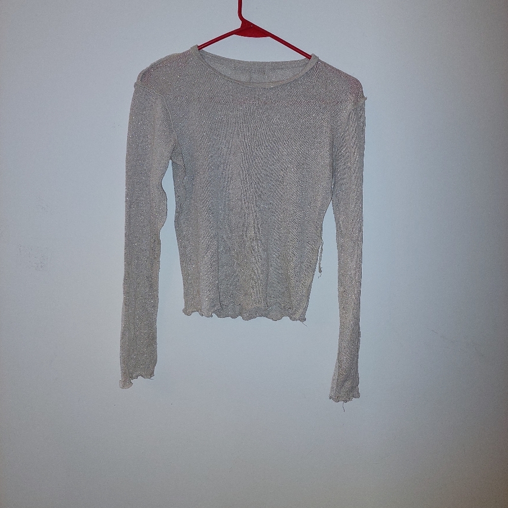 Shinny zara mesh top